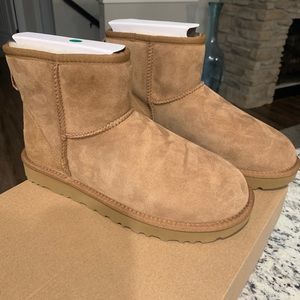 Ugg Classic Mini II chestnut- New Size 8